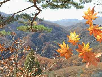 贵州锦屏县委原书记舒健已任黔东南州政府办主任